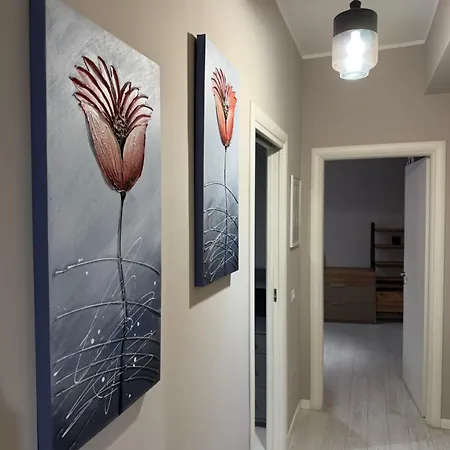 Luxro كروتوني